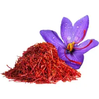 سورت زعفران (اولین جهان)