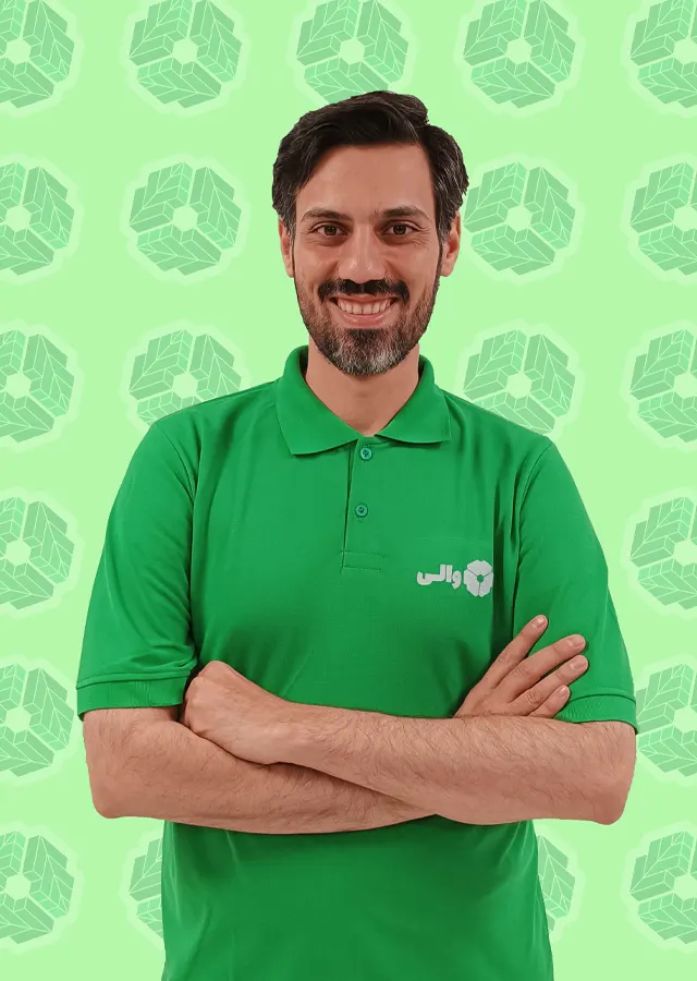 مهندس کرمی، کارشناسی ارشد مهندسی مکاترونیک از دانشگاه شریف - مدیر عامل و مؤسس شرکت والی