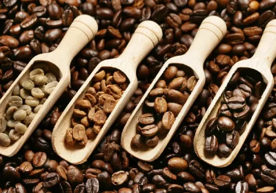 Types-of-coffee-beans