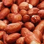 سورت بادام زمینی