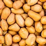 سورت بادام زمینی