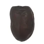 سورت خرما مضافتی