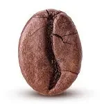 سورت قهوه با سورتر قهوه والی