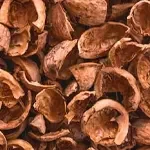 سورت گردو با دستگاه سورتر والی