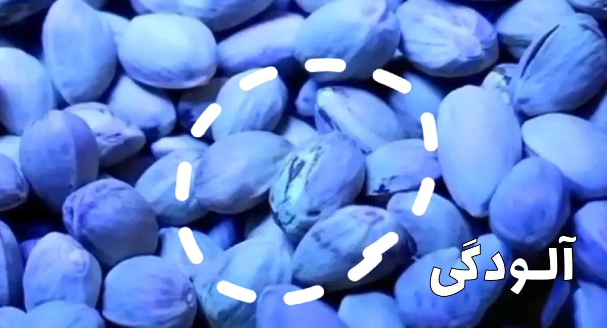 کنترل افلاتوکسین پسته در مرحله صادرات