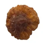 سورت انجیر شکلاتی