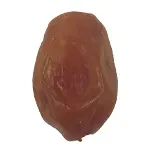 سورت خرما زاهدی