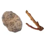 سورت حبوبات والی