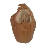 سورت خرما زاهدی