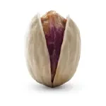 سورت نژاد پسته: کله قوچی، احمد آقایی، اکبری، فندقی