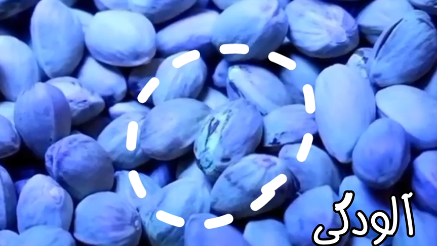 حل مشکل آفلاتوکسین پسته