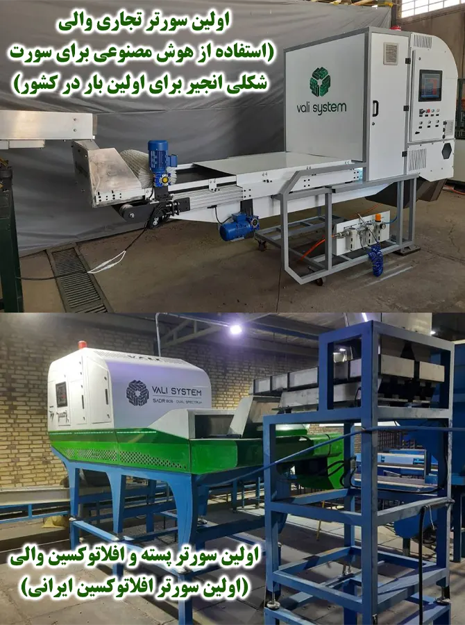 ورود والی به بازار سورترهای محصولات کشاورزی