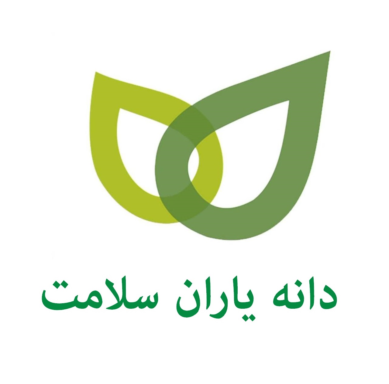 شرکت دانه یاران سلامت