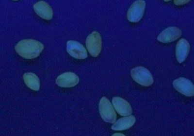 10399_10399 20240914 162544