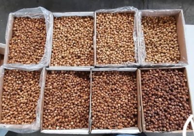 خروجی سورتر انجیر- مد رنگ