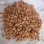 جداسازی بادام دوقلو از سالم