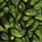 سورت پسته: گریدبندی از سبز تیره تا طلایی