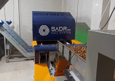 سورتر هوشمند انجیر