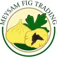 میثم تریدینگ فیگ