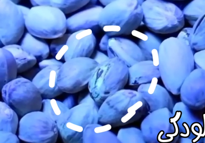 حل مشکل آفلاتوکسین پسته