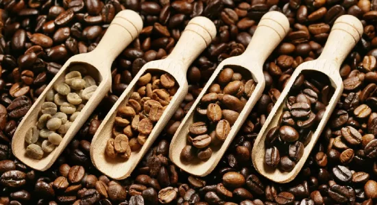 Types-of-coffee-beans