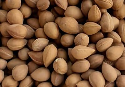 nZ0QtdSoSraidDiVTv5dJZotNDyQt50R6h0vqMcAWjRGltNdVb.jpg_800X800X70