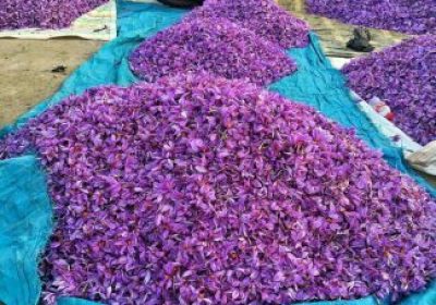 photo_2018-12-25_13-27-03