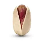 سورت نژاد پسته: کله قوچی، احمد آقایی، اکبری، فندقی