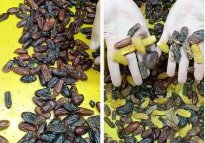 سورتر خرما - خروجی ها