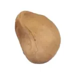 سورت پسته گو، زردو، نخودو، سیاه، کجو، چرک و...