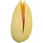نیمه باز-1