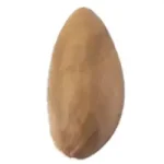 پسته چرک