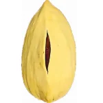 چفت (1)